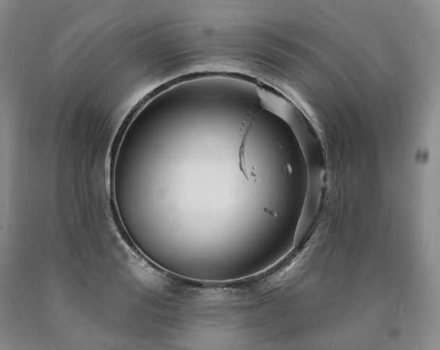 X0000090890988200707271328