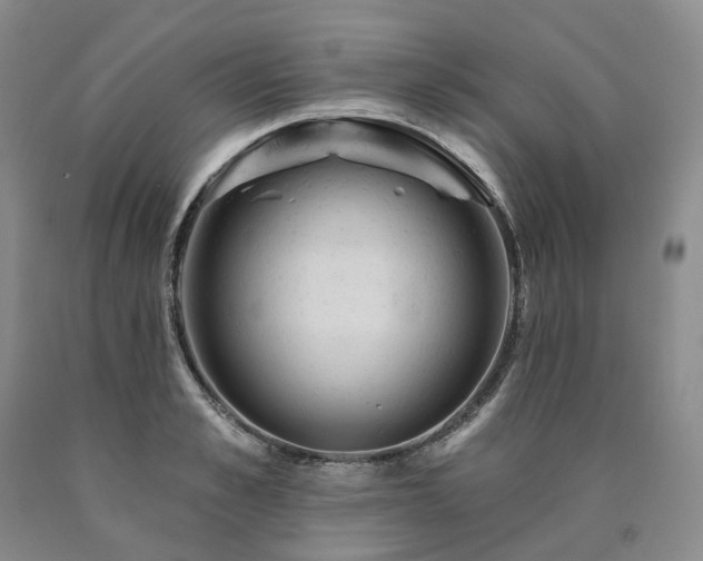 X0000090890989200707271328