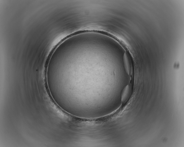 X0000090890990200707271328