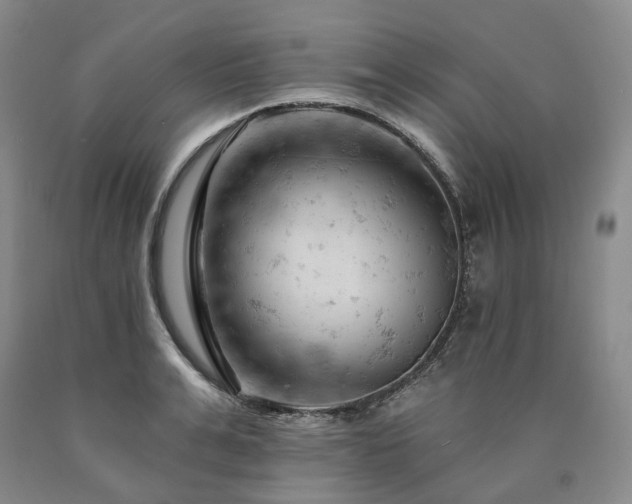 X0000090890991200707271328