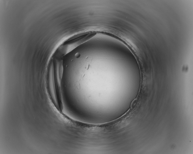 X0000090890992200707271328