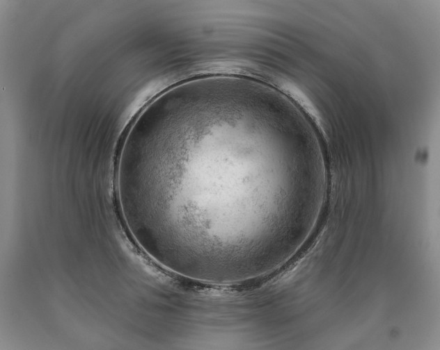 X0000090890994200707271328