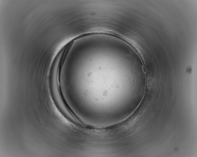 X0000090890995200707271328