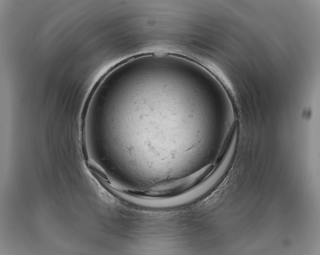 X0000090890996200707271328