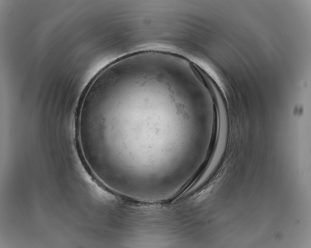 X0000090890999200707271328