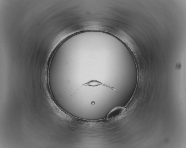 X0000090891000200707271328