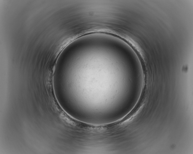 X0000090891001200707271328