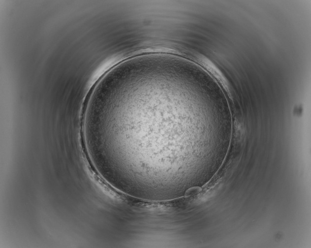 X0000090891002200707271328