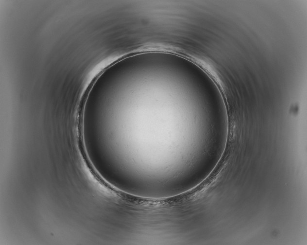 X0000090891003200707271328