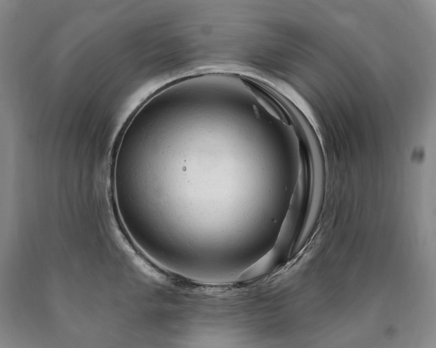 X0000090891005200707271328