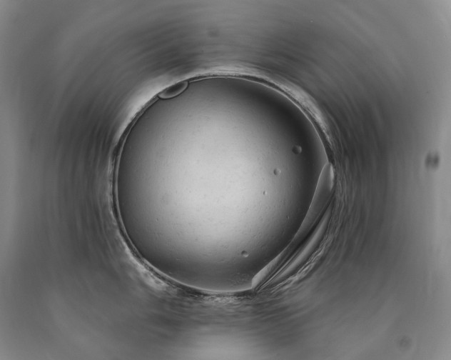 X0000090891006200707271328