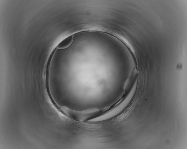 X0000090891007200707271328