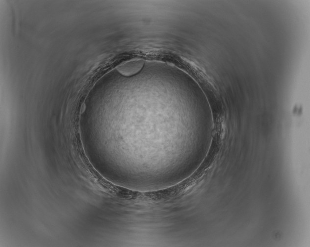 X0000090891009200707271327