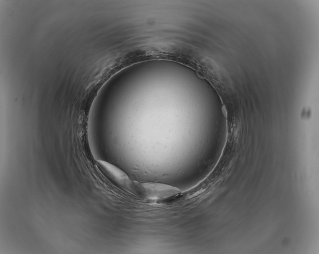 X0000090891012200707271327