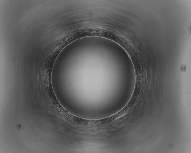 X0000090891013200707271327