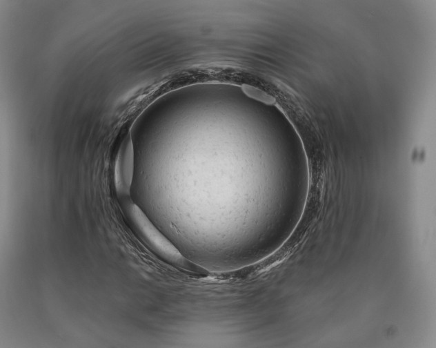 X0000090891014200707271327