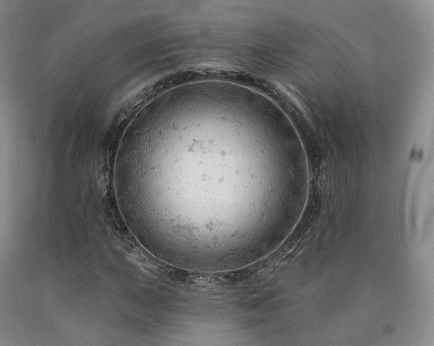 X0000090891015200707271327