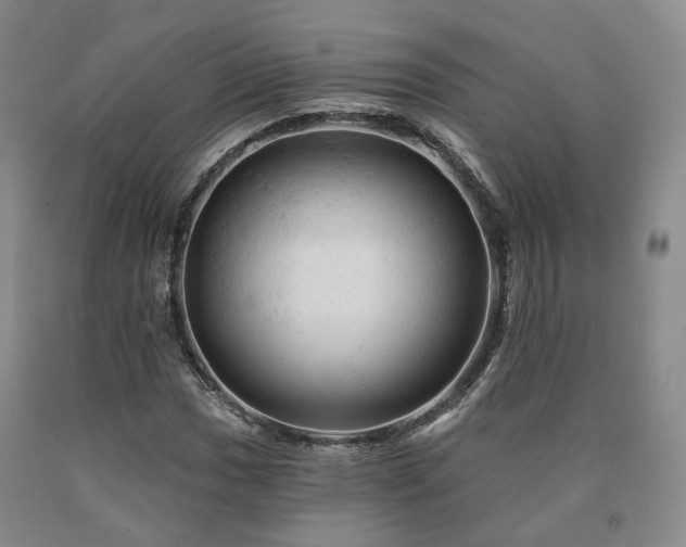 X0000090891017200707271327