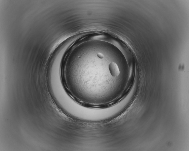 X0000090891018200707271327