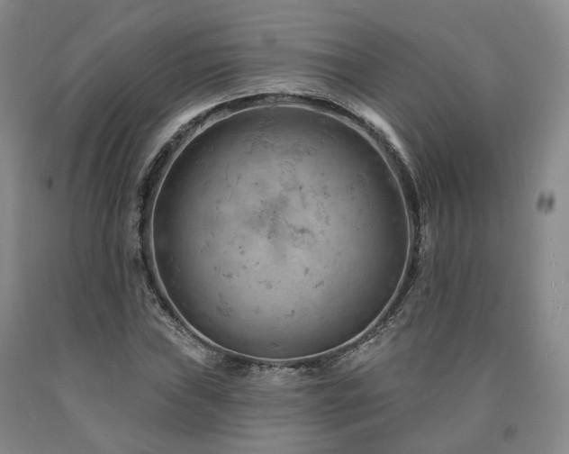 X0000090891019200707271327