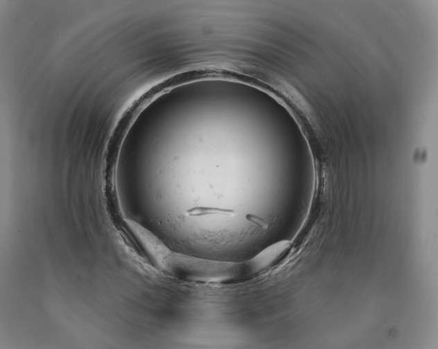 X0000090891020200707271327