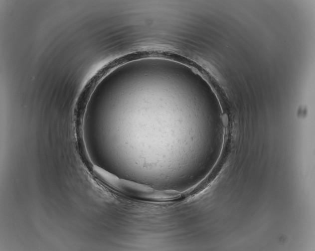 X0000090891022200707271328