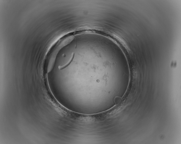 X0000090891023200707271328