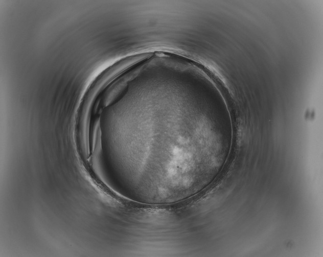 X0000090891024200707271328