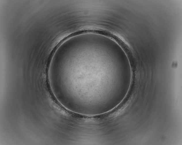 X0000090891025200707271328