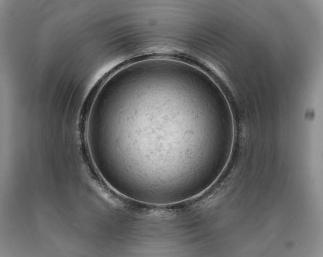 X0000090891026200707271328