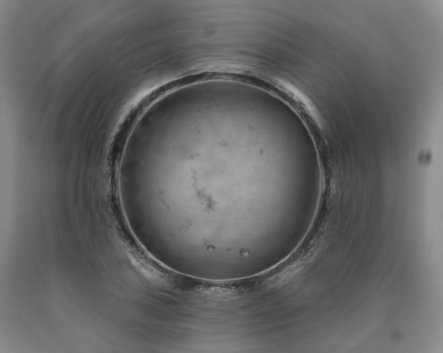 X0000090891027200707271328