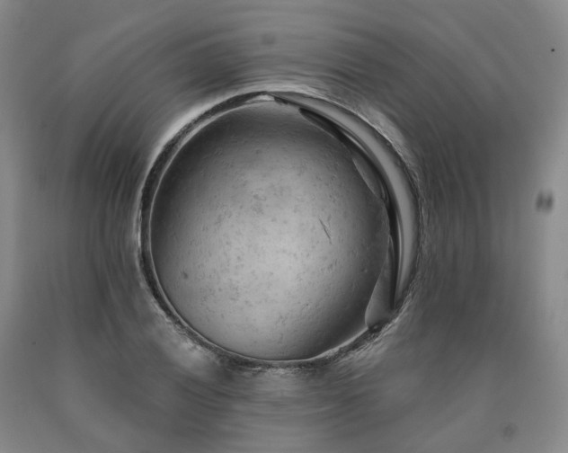 X0000090891028200707271328