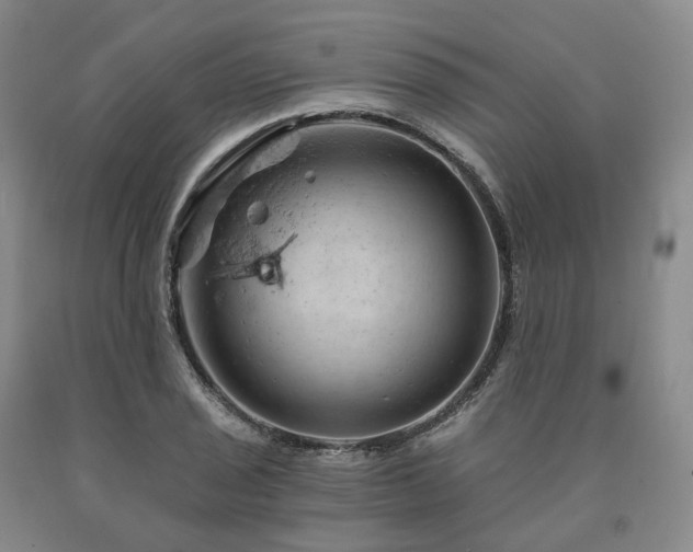 X0000090891029200707271328