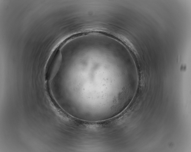 X0000090891031200707271328