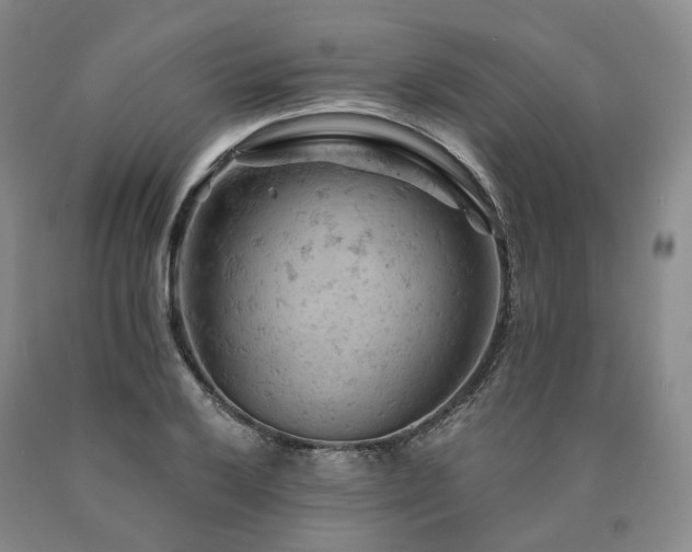 X0000090891032200707271328