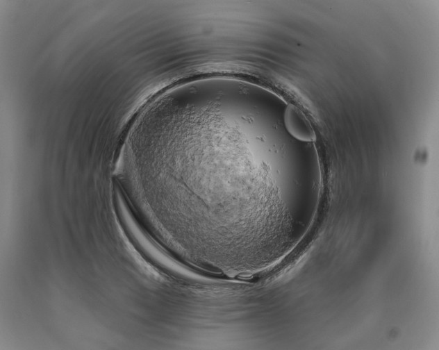 X0000090891033200707271328
