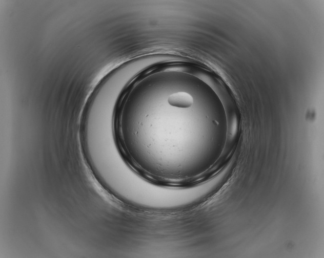 X0000090891034200707271328