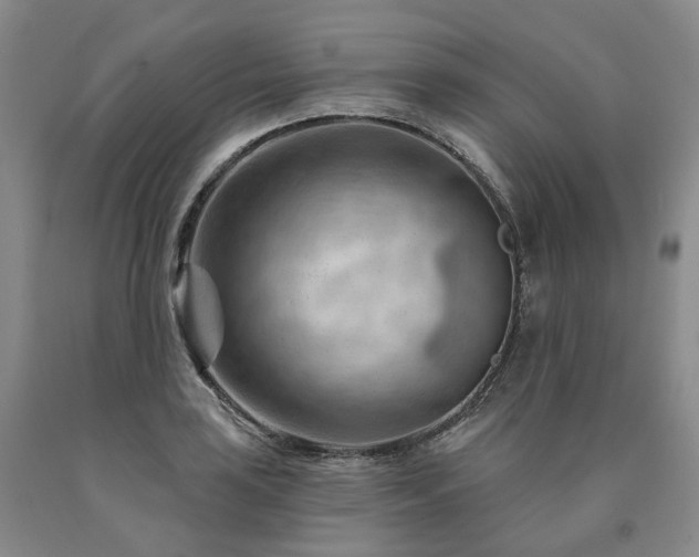 X0000090891035200707271328