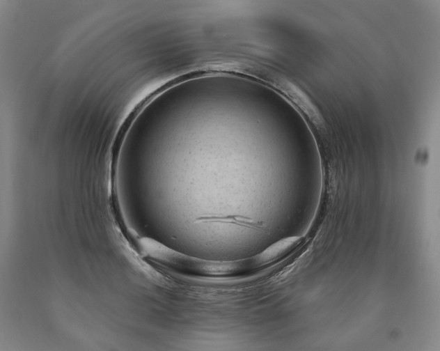 X0000090891036200707271328