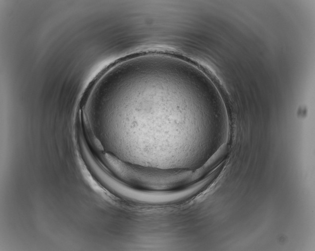 X0000090891038200707271328