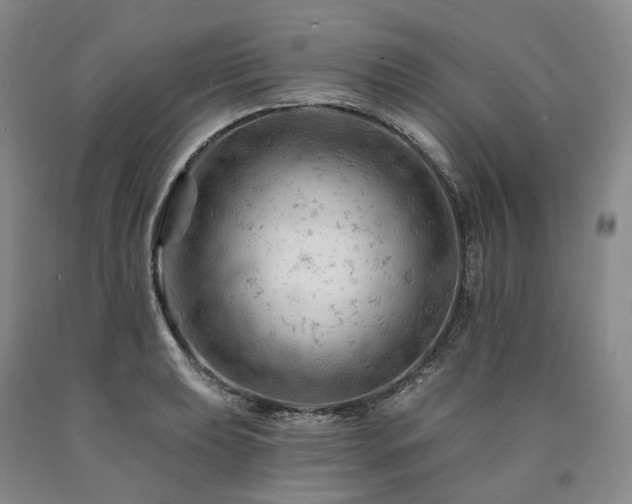 X0000090891039200707271328