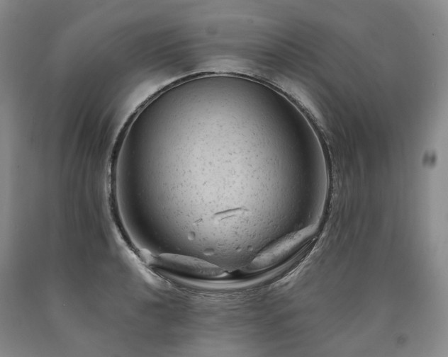 X0000090891040200707271328