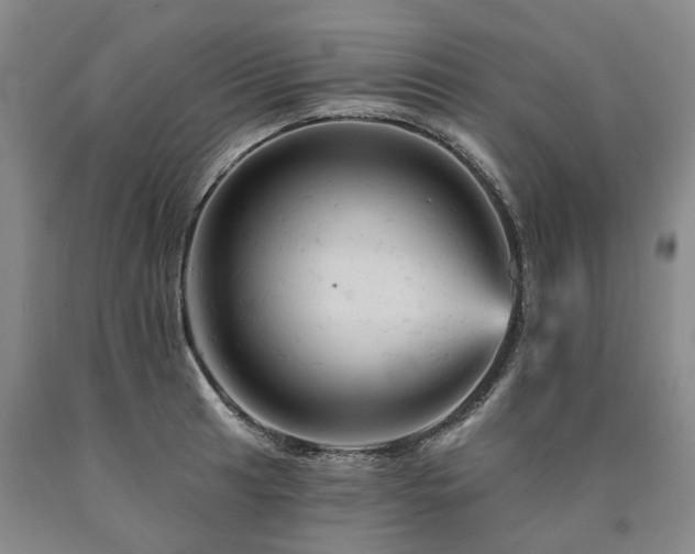 X0000090891041200707271328