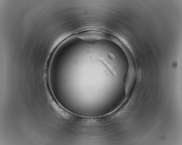 X0000090891042200707271328