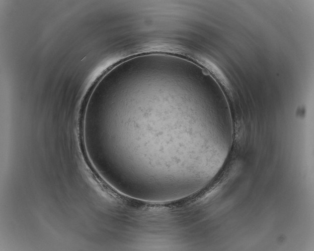 X0000090891043200707271328