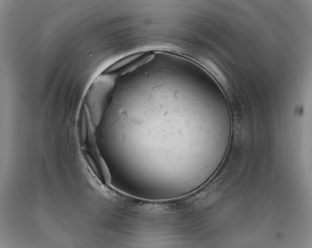 X0000090891044200707271328