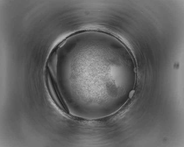 X0000090891045200707271328