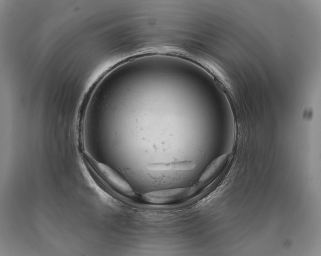 X0000090891046200707271328