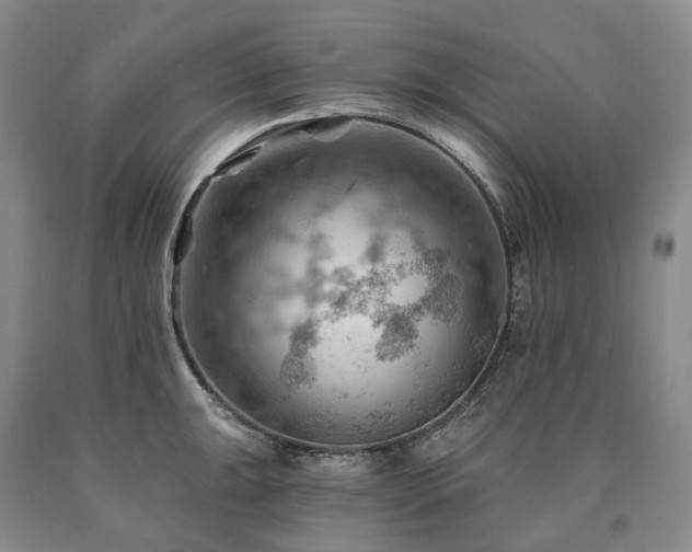 X0000090891047200707271328