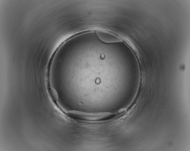 X0000090891048200707271328